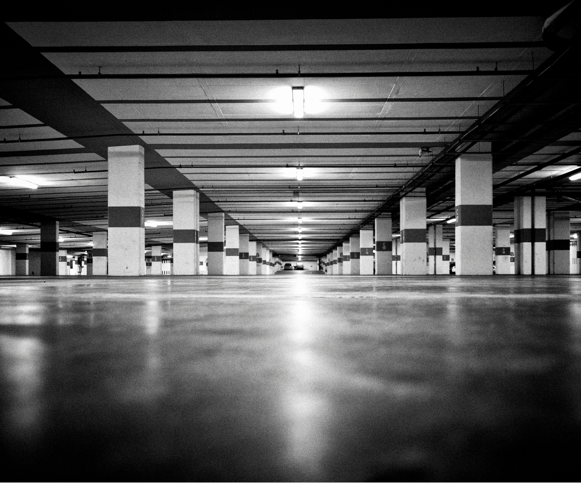 safeway contact-us 1